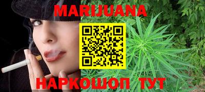 сатива Бузулук