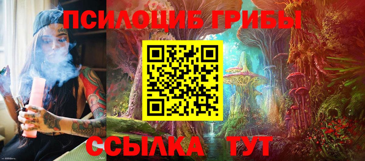 Псилоцибиновые грибы MAGIC MUSHROOMS Лысьва