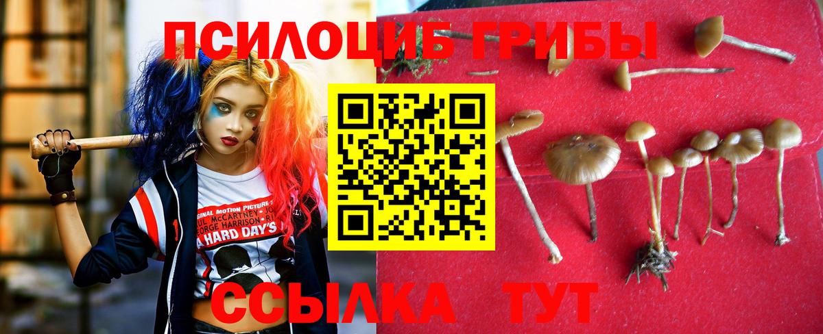 Псилоцибиновые грибы Psilocybine cubensis  Вход с VPN  Лысьва 